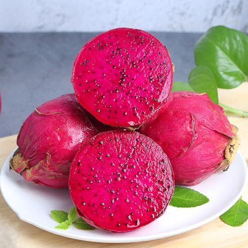 500 piezas Semillas de plantas de fruta de dragón, pitaya plantas columnares de balcón frutal Semillas de fruta del dragón, semillas de pitahaya plantas raras planta semillas interior