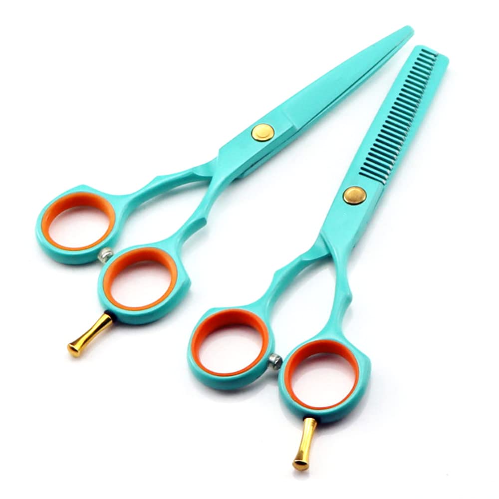Forbici Professionali per Tagliare i Capelli, Forbici Professionali Si 440c da 5,5 Pollici, Forbici per Capelli, Forbici per sfoltire, Forbici da Barbiere, Forbici da Parrucchiere