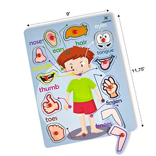 Wooden Peg Puzzle, My Body - Outside - Learning Educational Pegged Puzzle for Toddler & Kids (10 pcs) Gleeporte - Thumbnail 5