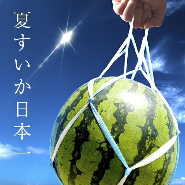 Amazon.co.jp: 北のデリシャス 山形県産 ご家庭用 尾花沢すいか 1玉