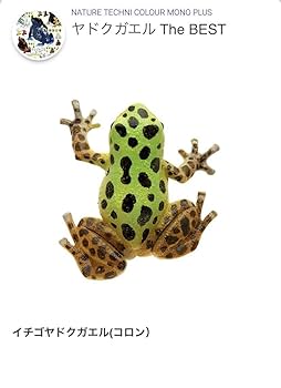 Amazon | ミニチュアフィギュア ヤドクガエルTheBEST