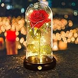 iluminador bell secretale Decoración mágica: nuestra rosa cúpula de cristal viene en una elegante tapa de cristal, que le aporta visualmente mejores efectos y protege eficazmente la rosa eterna en el interior. Combina una rosa de seda artificial, guirnaldas de LED blanco cálido y una base de madera exquisita, crea una sensación agradable y reconfortante. Se puede utilizar no solo como lámpara de noche, sino también como decoración elegante para tu oficina, dormitorio, sala de estar