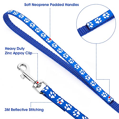 Molain 2-teiliges Hundehalsband und Leine Set, verstellbares Hundehalsband mit Leine, Schnellverschluss, Schnallenhalsband für kleine Hunde, Katzen, Welpen, Kätzchen (Blau+Rot)