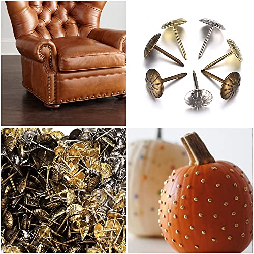 450 Stück Polsternägel, Möbel Dekorative Reißnägel, Ziernägel Push Pins, Reißzwecken für Sofa, Stuhl, Sessel, Bett Antik - 11x17mm/Bronze, Gold, Silber