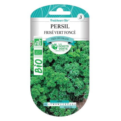 Graines de persil frisé vert foncé BIO Les Doigts Verts
