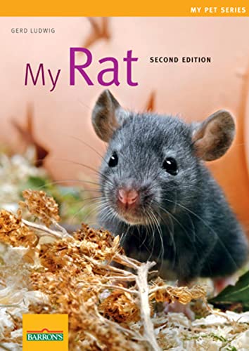My Rat (My Pet Series)