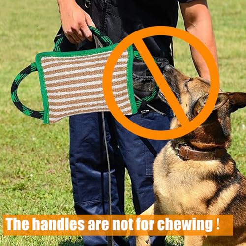 bangminda Beißkissen für Hunde mit 3 Griffen Hundebisskissen Hundetraining Zerrspielzeug für Hunde Interaktives Spielen Hundebisskissen-Spielzeug für Hunde Tauziehen K9 IPO Interaktives (Schwarz)