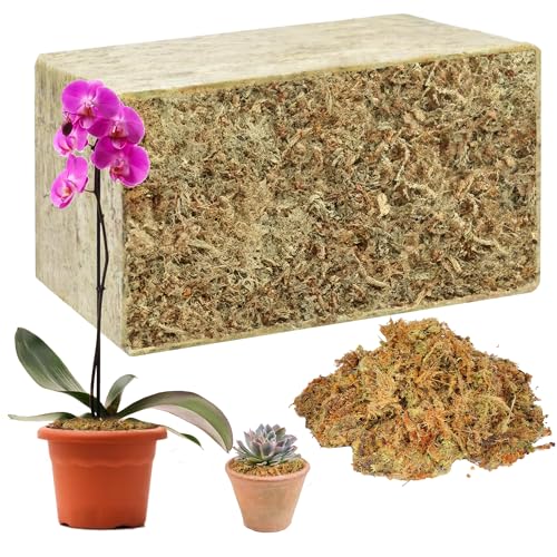 Hourleey 1.1 lb Sphagnum Moss for Plants, Premium Natural Long Fibered Dried Moss Potting, Sphagnum Peat Moss Bulk for Orchids Succulent Carnivorous Potted Plant Reptiles Medium Sarracenia