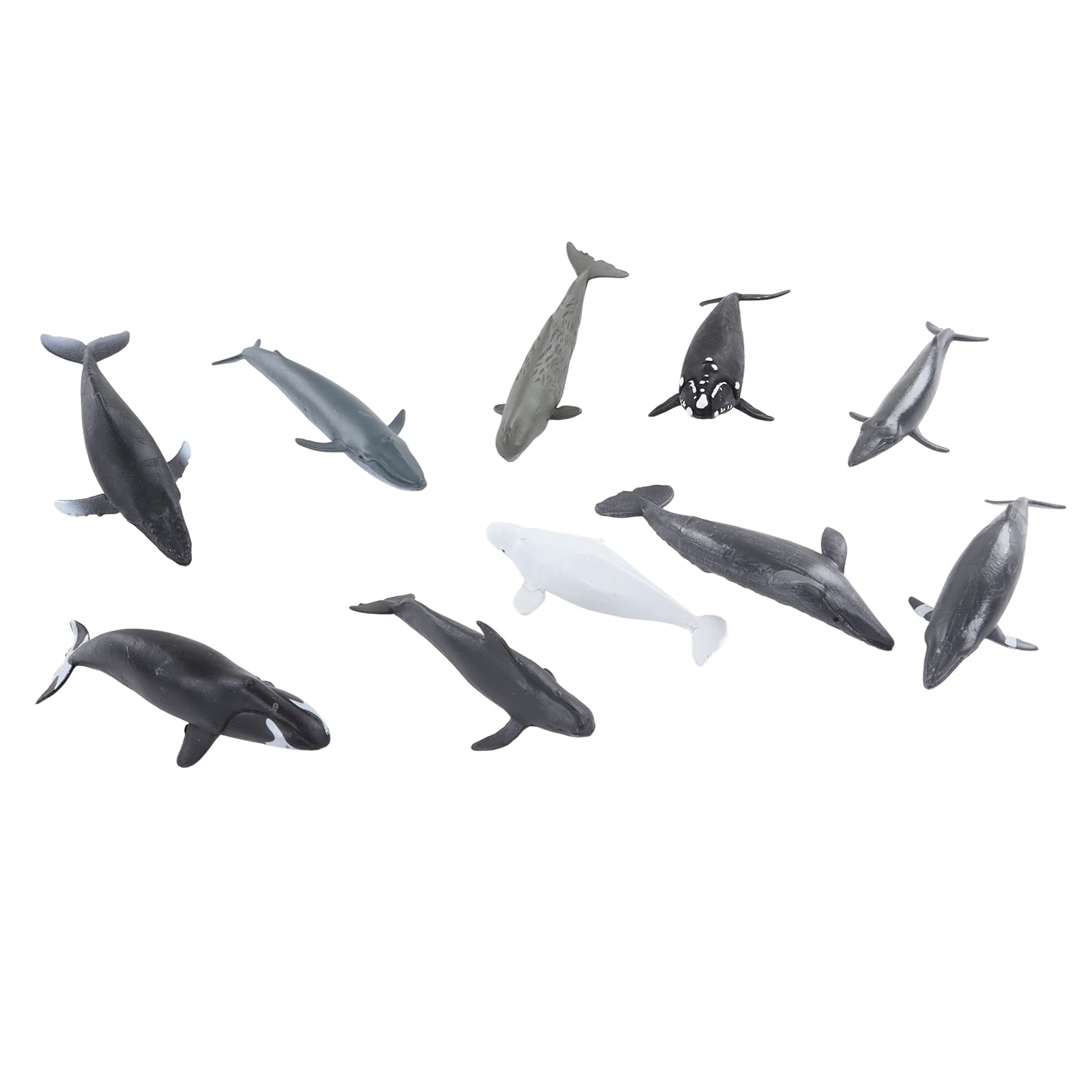 Hosie Whale Sculpture, 10Pcs Whale Model Vivid Details Delicate for Gifts