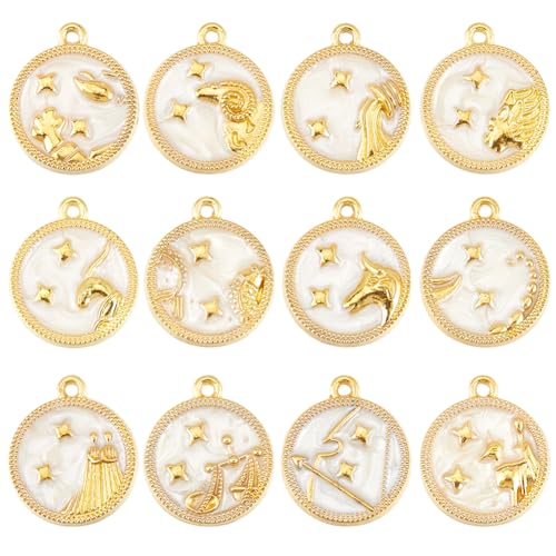 SUNNYCLUE 1 boîte de 24 breloques Constellations (12 styles Différents) en Alliage D'Or et Émail Représentant les Signes du Zodiaque Pendentifs...