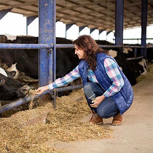 Ipetboom Raspador De Pelo De Gado Ancinho De Metal Ancinho De Preparação De Cavalos Ancinho Escova D