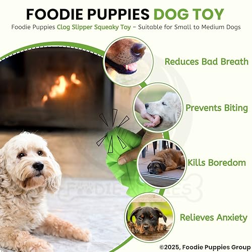 Image of Foodie Puppies Clog Slipper Squeaky Toy for Dogs & Puppies | Soft, Fun, Durable Chew Toy for Small to Medium Dogs | Indoor Interactive Pet Play Toy with Built-in Squeaker for Entertainment
