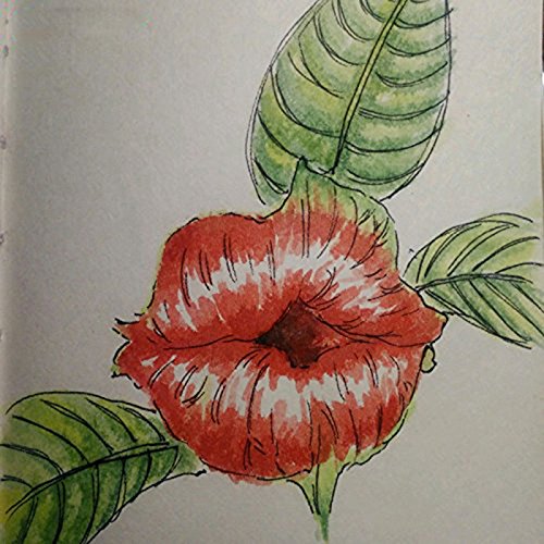 KINGDUO Egrow 100Pcs Labios Rojos Flores Semillas Sexy Beso Rosy Labios Plantas Jardín Bonsai Psychotria Elata Semillas