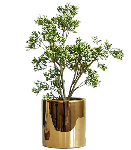 ZENGYUAN, pianta grassa in Vaso con Foglie Verdi per Piante grasse, Decorazione da Tavolo, per Interni e salotti D