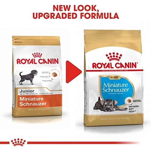 Royal Canin Miniature Schnauzer Junior 1,5 kg, 1er Pack (1 x 1.5 kg)
