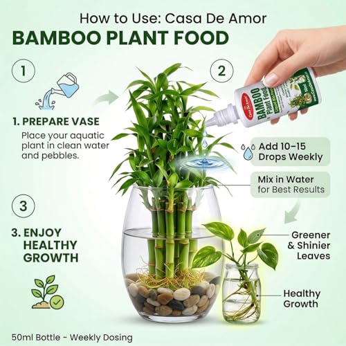 Image of Casa De Amor Bamboo Plant Food for Lucky Bamboo & Money Plants | Liquid Fertilizer for Indoor Water Plants | Growth Booster for Green Leaves & Strong Roots | 2 x 50ml (100ml Total)