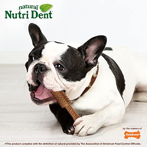 Image of Nylabone Nutri Dent Dog Dental Treats, Filet Mignon Flavor, 40 Count