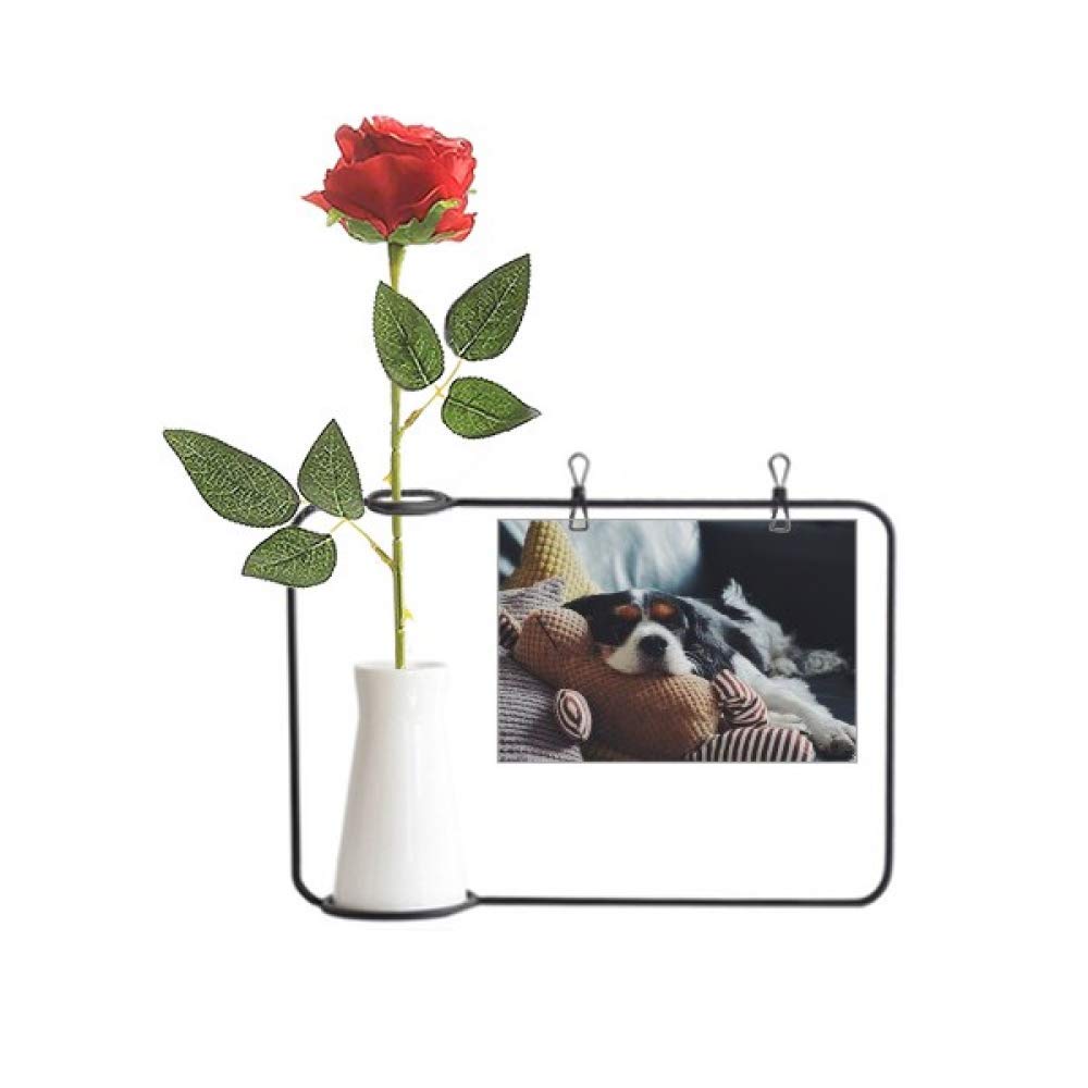 Fleur artificielle paresseux suspendu pour une déco de salon zen