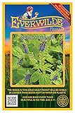 Everwilde Farms - 300 Mad-Dog Skullcap Native Wildflower Seeds - Gold Vault Seed Packet