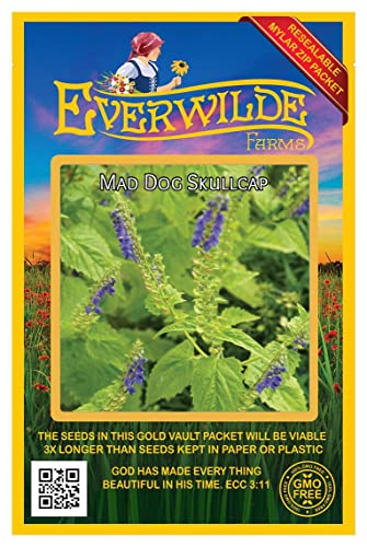 Everwilde Farms - 300 Mad-Dog Skullcap Native Wildflower Seeds - Gold Vault Seed Packet