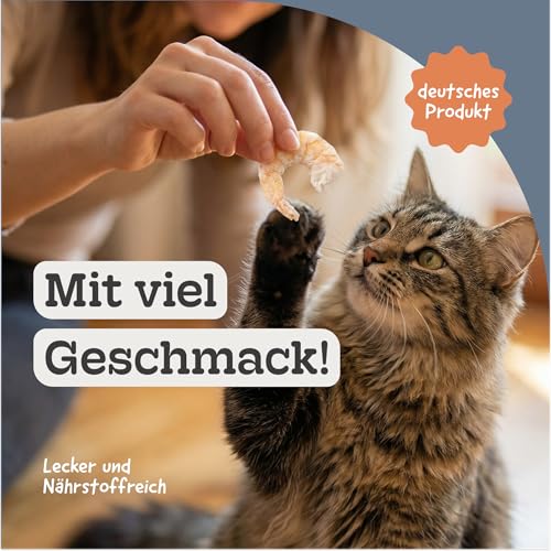 Riesengarnelen Gefriergetrocknet für Hunde und Katzen, 85,3% Protein, Natürlich ohne Konservierungsstoffe, Ideal als Snack oder Barf Zusatz