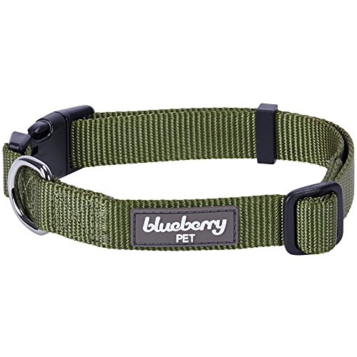 Blueberry Pet Essentials 22 Colors Classic Dog Collar, Military Green, Small, Neck 12"-16"