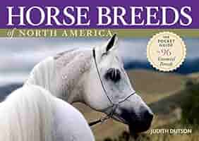 Horse Breeds&Breeding-Jane Kidd 洋書 Horse Breeds&Breeding-Jane Kidd 洋書 - メルカリ