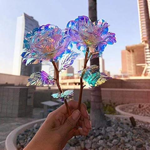 Générique 5Pcs Roses Éternelles Plaquées Or Cover