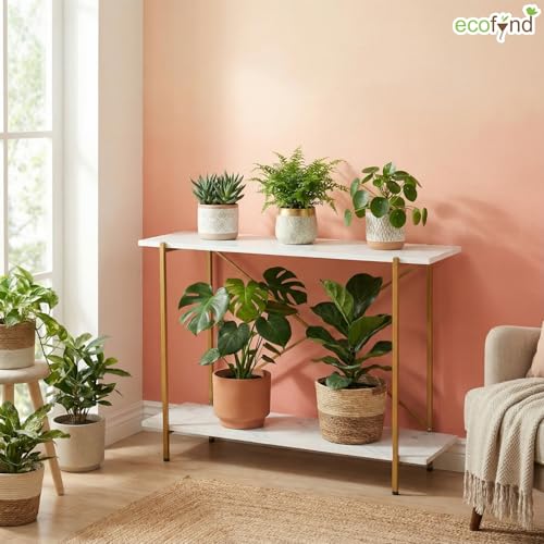 Image of ecofynd Elix Jr Plant Stands for Balcony, Flower Pot Stand for Indoor Plants, 2 Tier Long Wood Planter Stand for Living Room, home decor, Indoor & Outdoor plants (35 inchX9 inchX28 inch, WHTGO, CT002)