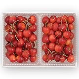 大橋さくらんぼ園 さ�