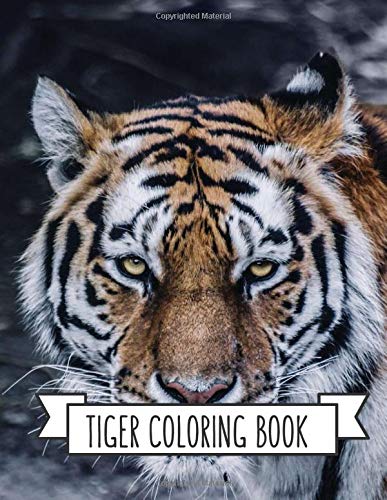 Tiger Coloring Book: Coloring Toy Gifts for Kids or Adults | Cute Easy and Relaxing Realistic Animal Large Print Birthday Gifts