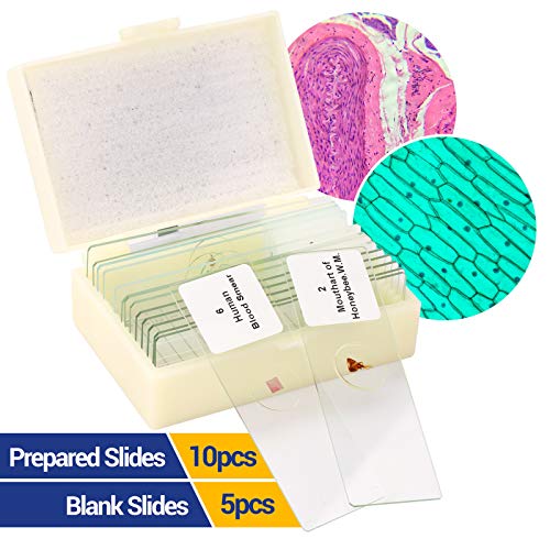 BNISE Mikroskop, 40X-2000X Mikroskop für Studenten und Labor, Ganzmetall-Labormikroskop mit optischen Glaslinsen… – Bild 6