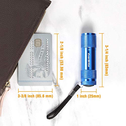 Everbrite 18-Pack Mini Led Flashlight Set - Portable Flashlights Ideal For Hurricane Supplies Camping, Night Reading, Cycling, Bbq, Party, Backpacking - Includes Lanyard & 54 X Aaa Batteries #TOP2