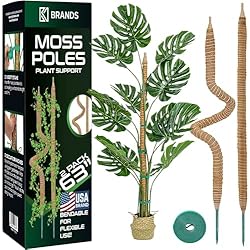 Amazon.com : K-Brands 3 Pack Bendable Moss Pole 2 Pack 63''+1 Pack