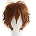 Max Beauty Anime Short Brown Cosplay Wig With Bangs Unisex Heat Resistant Hair for Party Halloween Gift + Free Cap