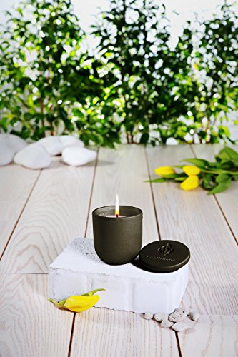 Candellana Candles Candlefort Concrete Candle-Modern I-Beige, Scent: for Her