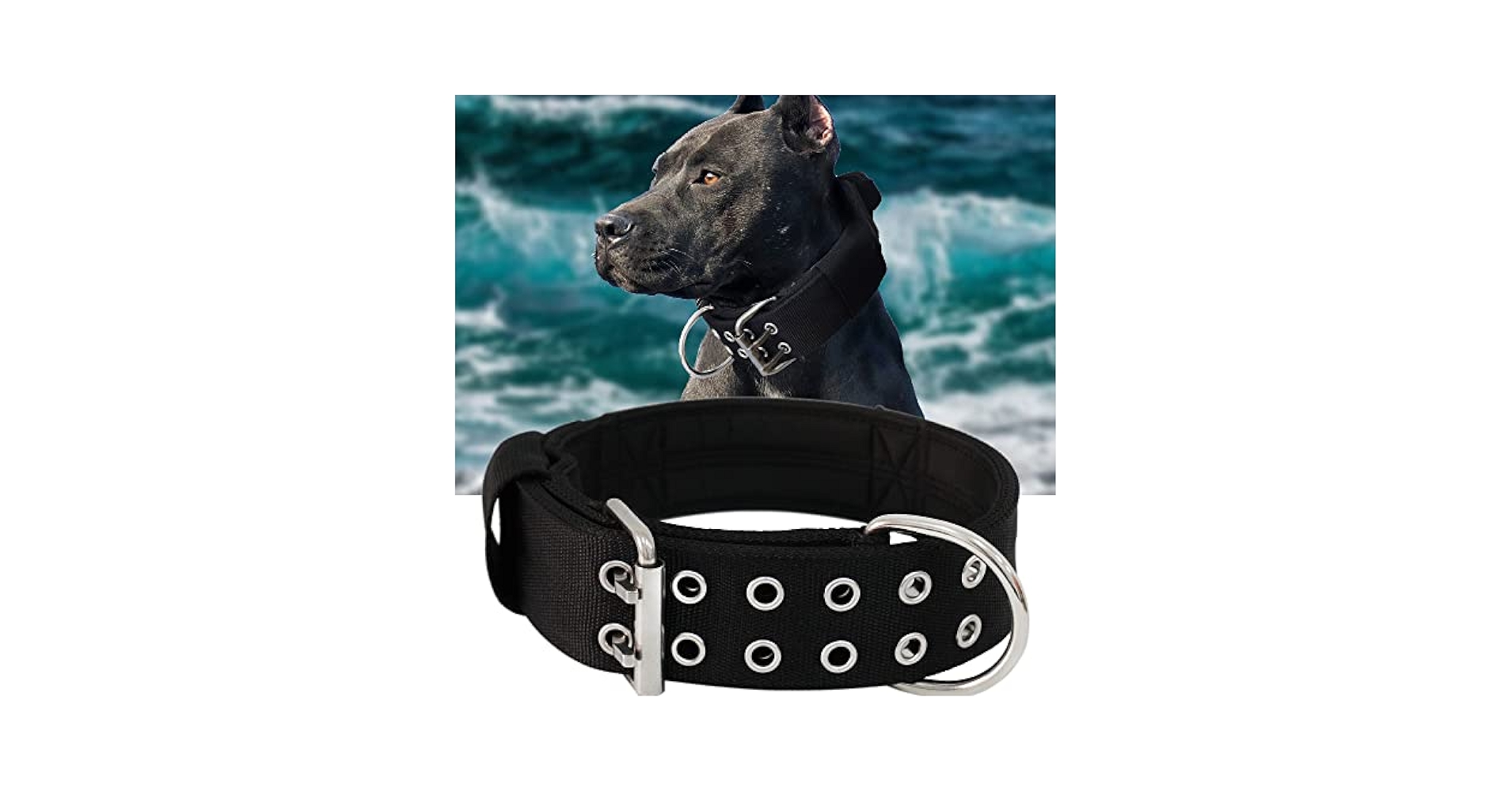 DOG COLLAR WIDE ブラック Heavy-Duty Wide Dog Collar for Large Breed – Safe Choice