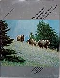 arctos uhr quarz  The Northern Interior Grizzly Bear, Ursus Arctos L.