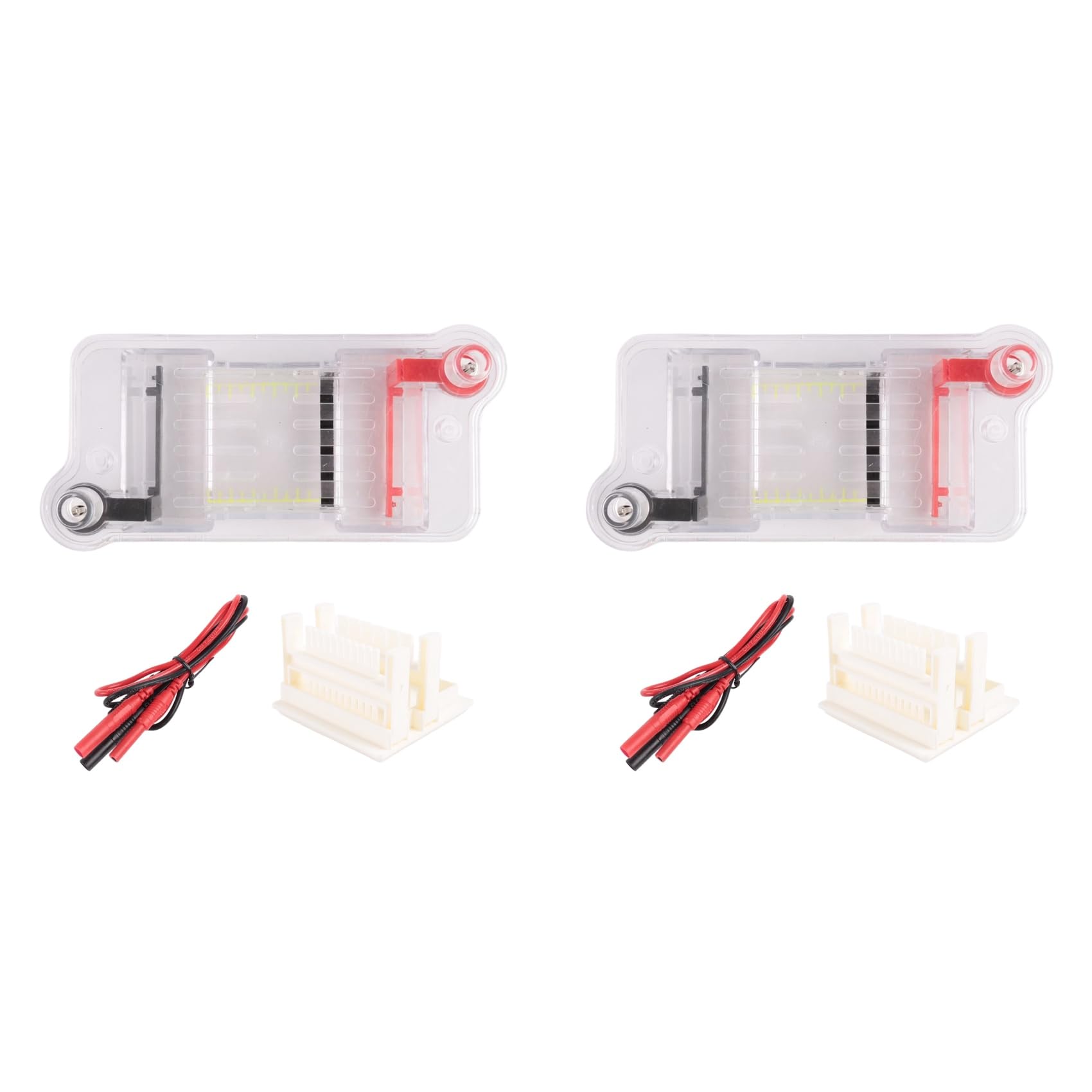 Jnchdghwa As Shown 2X Horizontal Electrophoresis Tank Gel Experiment Biological Teaching Experimental Instrument Experimental Teaching Tool