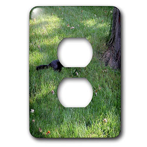 Cache 2 prises chat regardant dans un arbre noir design brillant