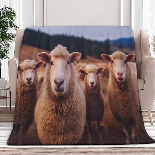Jeté de canapé microfibre doux imprimé moutons pour vos soirées cocooning