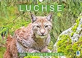 VIELFALT - Mit über 25.000 verschiedenen Kalendern bietet der CALVENDO Verlag für jeden Geschmack das richtige Produkt. Zudem sind die Kalender meist in den Formaten DIN A5, DIN A4, DIN A3 sowie DIN A2 verfügbar. Der ideale Kalender für Ihr Wohnzimmer, Schlafzimmer, Küche, Esszimmer sowie für Kinderzimmer.