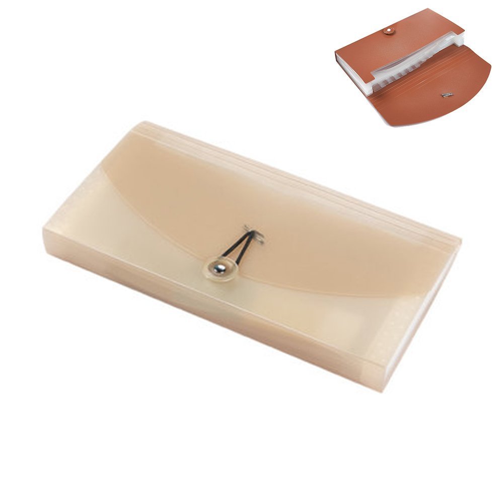 Oak-Pine 13 Pocket Receipt Folder, Khaki Translucent, Plastic, 10.24 x 5.31 x 1.18 in