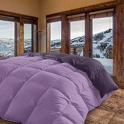 Zara Edredones - Moscow - Edredón / Relleno Nórdico Reversible Máxima Calidad Transpirable 350 gr/m2 Microfibra Alta Densidad Invierno/Otoño (Malva - Morado, Cama 135 y 150 (240 x 260 cm))