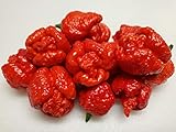 Trinidad Moruga Scorpion 6 Dried Peppers