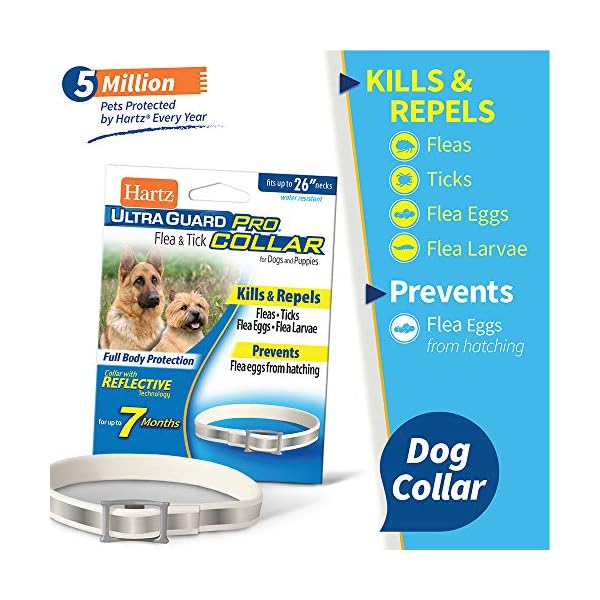 Hartz UltraGuard Pro Reflective Flea & Tick Collar for Dogs and Puppies