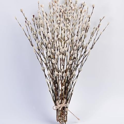 45 Stems 17＂Real Dried Pussy Willow Branches for Vase，100% Natural PussyWillows with White Flowers, Snow Willow Branches for Indoor and Outdoor Decor, Wedding Home Party Hotel Fireplace Yard Cover