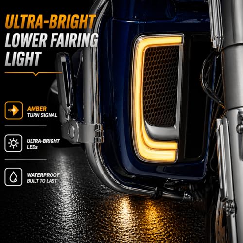 Lámparas LED para motos Eagle Lights SUNBURST Lower Fairing Grill miniatura 3