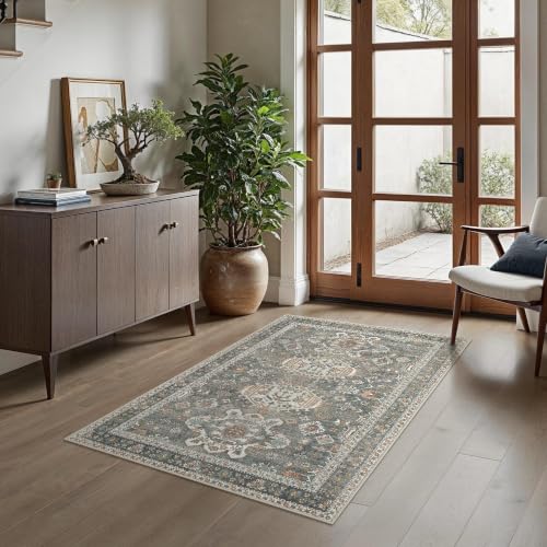 Bavni 3x5 Washable Area Rug for Entryway, Non Slip, Grey