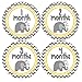 Months in Motion 382 Monthly Baby Stickers Gender Neutral Elephants Months 1-12